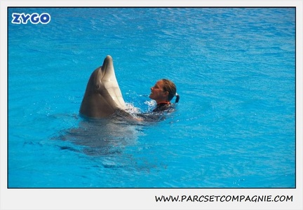 Marineland - Dauphins - Spectacle 14h30 - 1862