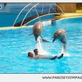 Marineland - Dauphins - Spectacle 14h30 - 1863