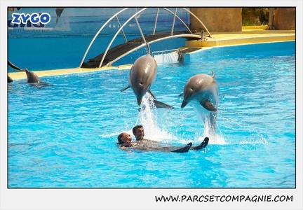 Marineland - Dauphins - Spectacle 14h30 - 1863