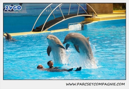 Marineland - Dauphins - Spectacle 14h30 - 1864