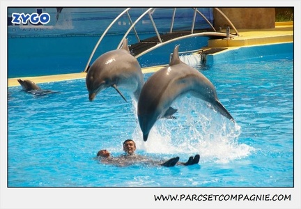 Marineland - Dauphins - Spectacle 14h30 - 1865