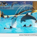 Marineland - Dauphins - Spectacle 14h30 - 1866