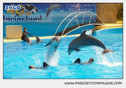 Marineland - Dauphins - Spectacle 14h30 - 1866