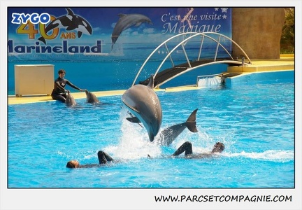 Marineland - Dauphins - Spectacle 14h30 - 1867