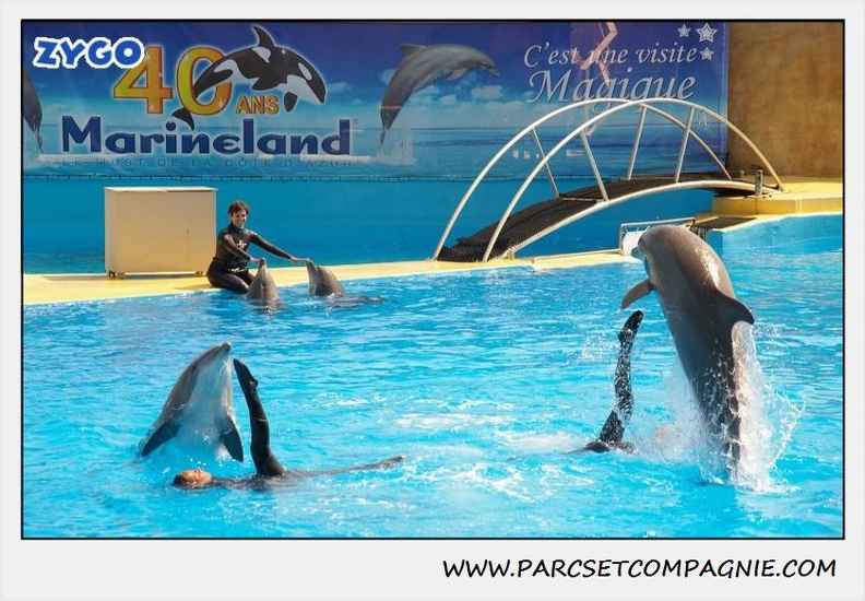 Marineland - Dauphins - Spectacle 14h30 - 1868