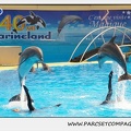 Marineland - Dauphins - Spectacle 14h30 - 1869