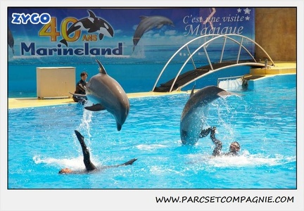 Marineland - Dauphins - Spectacle 14h30 - 1870