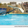Marineland - Dauphins - Spectacle 14h30 - 1872