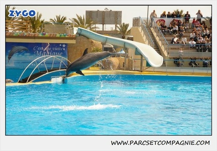 Marineland - Dauphins - Spectacle 14h30 - 1872