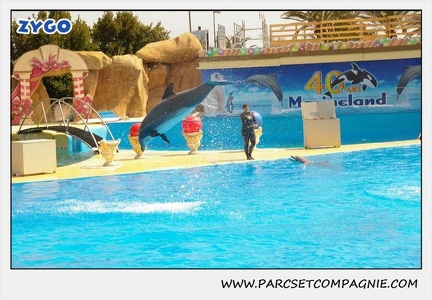 Marineland - Dauphins - Spectacle 14h30 - 1873