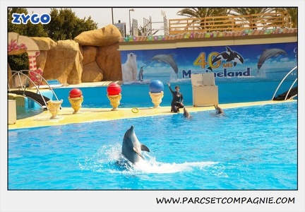 Marineland - Dauphins - Spectacle 14h30 - 1874
