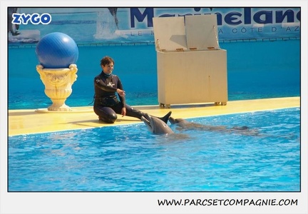 Marineland - Dauphins - Spectacle 14h30 - 1875