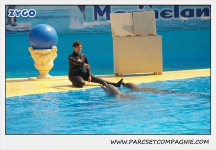 Marineland - Dauphins - Spectacle 14h30 - 1876