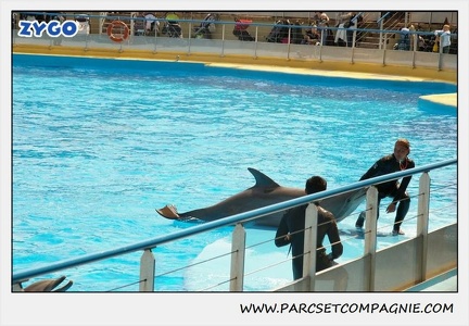 Marineland - Dauphins - Spectacle 14h30 - 1877