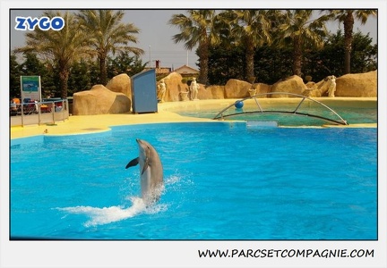 Marineland - Dauphins - Spectacle 14h30 - 1878