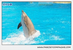 Marineland - Dauphins - Spectacle 14h30 - 1880