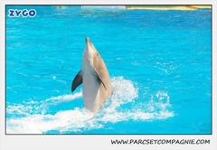 Marineland - Dauphins - Spectacle 14h30 - 1881