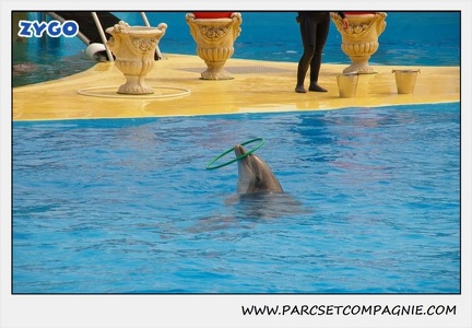 Marineland - Dauphins - Spectacle 14h30 - 1885