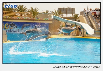 Marineland - Dauphins - Spectacle 14h30 - 1886