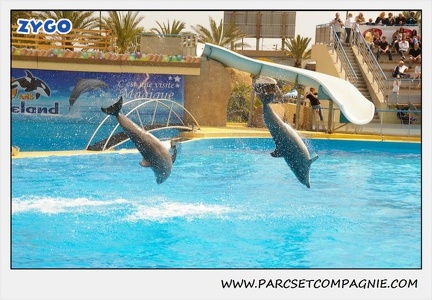 Marineland - Dauphins - Spectacle 14h30 - 1887