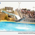 Marineland - Dauphins - Spectacle 14h30 - 1888