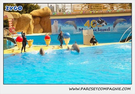 Marineland - Dauphins - Spectacle 14h30 - 1889