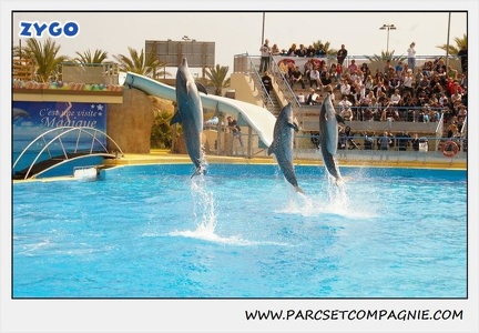 Marineland - Dauphins - Spectacle 14h30 - 1890