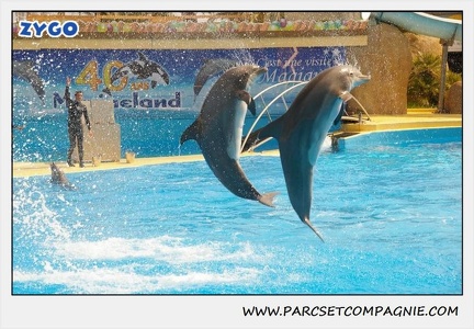 Marineland - Dauphins - Spectacle 14h30 - 1891