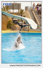 Marineland - Dauphins - Spectacle 14h30 - 1892