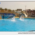 Marineland - Dauphins - Spectacle 14h30 - 1894