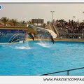 Marineland - Dauphins - Spectacle 14h30 - 1895