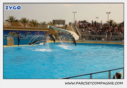 Marineland - Dauphins - Spectacle 14h30 - 1895