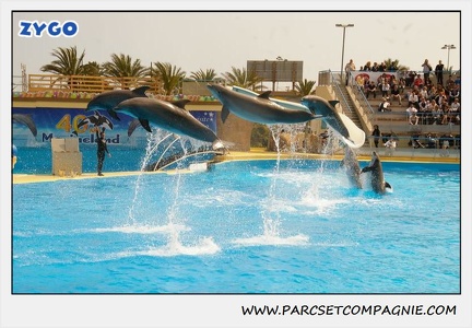 Marineland - Dauphins - Spectacle 14h30 - 1896