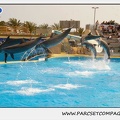 Marineland - Dauphins - Spectacle 14h30 - 1897
