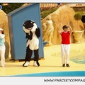 Marineland - Dauphins - Spectacle 14h30 - 1898