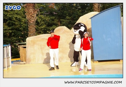 Marineland - Dauphins - Spectacle 17h45 - 1902