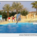 Marineland - Dauphins - Spectacle 17h45 - 1908