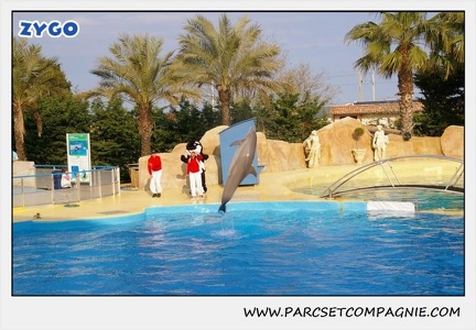 Marineland - Dauphins - Spectacle 17h45 - 1908