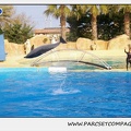 Marineland - Dauphins - Spectacle 17h45 - 1909