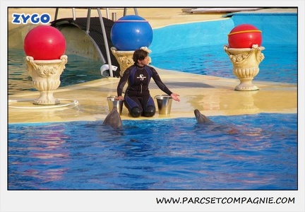 Marineland - Dauphins - Spectacle 17h45 - 1911