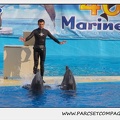 Marineland - Dauphins - Spectacle 17h45 - 1912