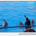 Marineland - Dauphins - Spectacle 17h45 - 1913