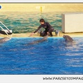 Marineland - Dauphins - Spectacle 17h45 - 1914