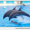 Marineland - Dauphins - Spectacle 17h45 - 1916