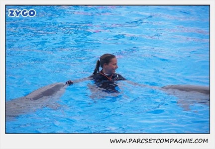 Marineland - Dauphins - Spectacle 17h45 - 1918