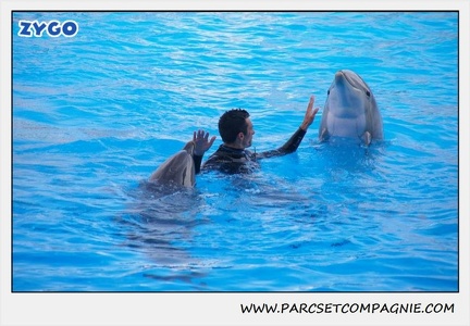 Marineland - Dauphins - Spectacle 17h45 - 1919