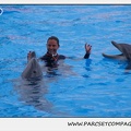 Marineland - Dauphins - Spectacle 17h45 - 1920