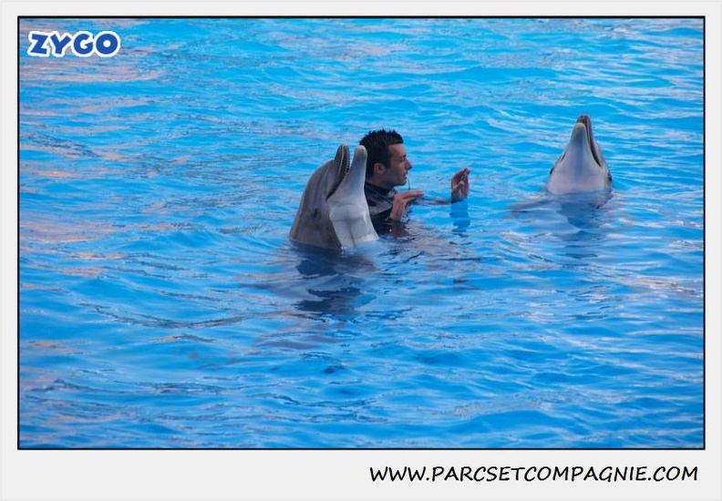 Marineland - Dauphins - Spectacle 17h45 - 1921