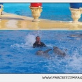 Marineland - Dauphins - Spectacle 17h45 - 1923