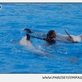 Marineland - Dauphins - Spectacle 17h45 - 1925